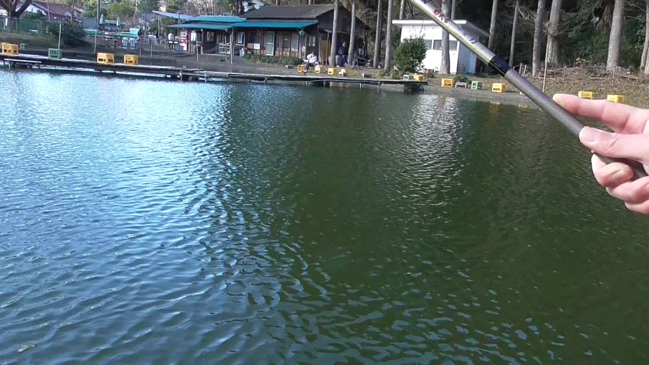 20201月5日 日曜 東京都八王子市 鯉 金魚釣り堀 森屋荘 の様子です Youtube 20201月5日 日曜 東京都八王子市 鯉 金魚釣り堀 森屋荘 の様子です Youtube