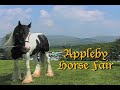 APPLEBY GYPSY HORSE FAIR