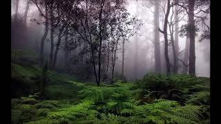 Coil Of Life And Death