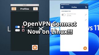 I made a OpenVPN Connect Application for Linux!! screenshot 4