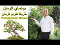 طريقة عمل بونساي الرمان, تقزيم شجرة الرمان, How to Create Pomegranate Bonsai