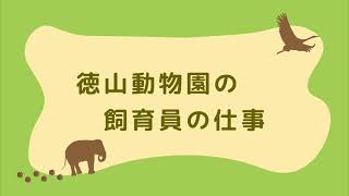 2 徳山動物園の飼育員の仕事 Youtube