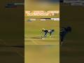 Top 👀 Shocking Direct 🎯 Hits Run outs in Cricket🎧🏏 #cricket #viral #best #top #ipl #1million