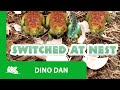 Dino Dan |  Trek's Adventures: Switched at Nest - Episode Promo