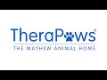 Dog Therapy for the Elderly - TheraPaws | The Mayhew Dog Therapy for the Elderly - TheraPaws | The Mayhew