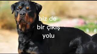 Size Şarkılar Veriyorum Part Yine Unuttum Ya