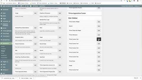 Thrive Clever Widget Tutorial