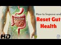 Gut Health Reset How To Rebuild Your Microbiome Fast 