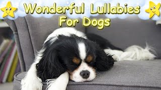 Relaxing Sleep Music For Dogs ♫ Calm And Relax Your Puppy Super Easy ♥ Lullaby For Dogs