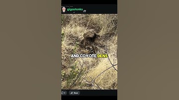 WallStreetBets trader asks "Am I the Only Regard who had a month like this?"