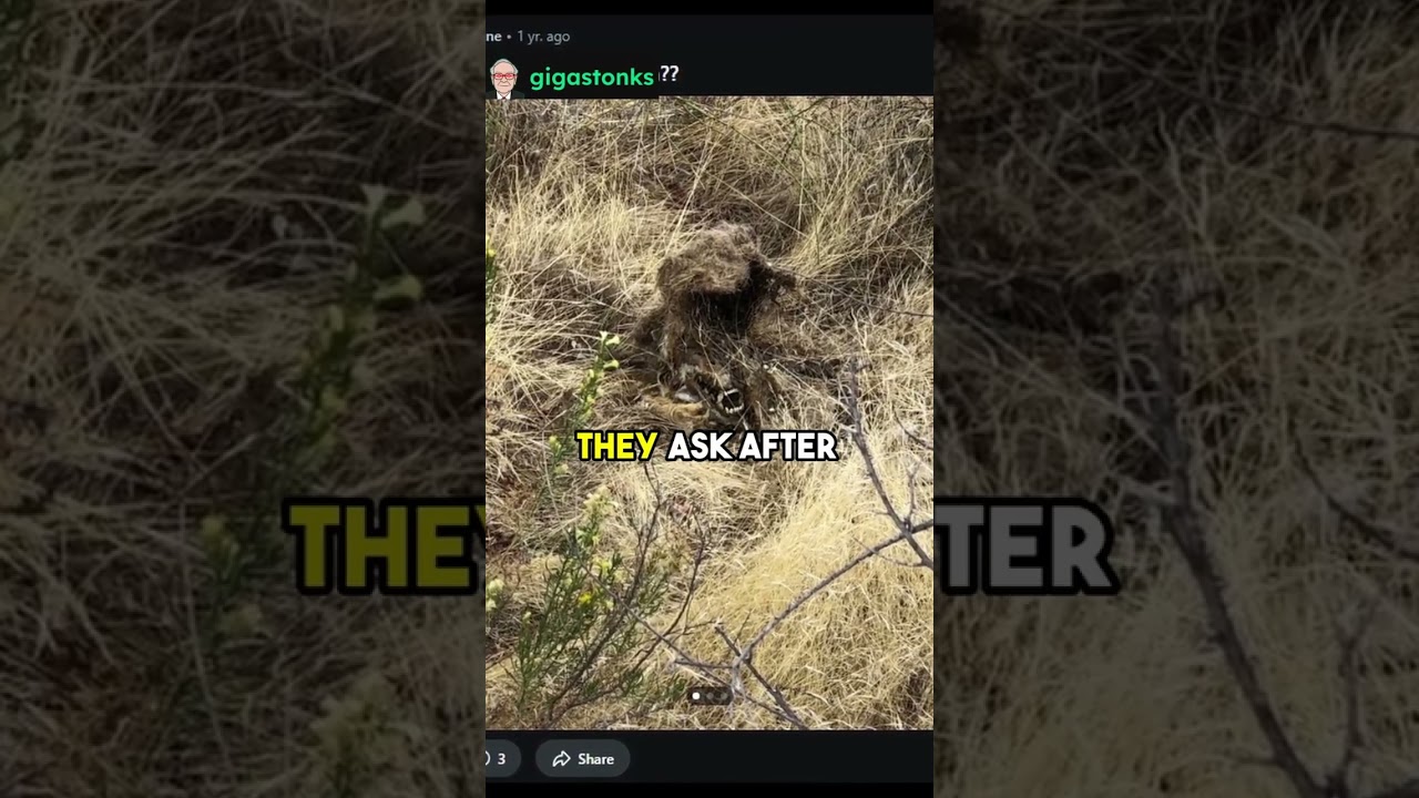 Трейдер WallStreetBets спрашивает: «Я единственный, у кого был такой месяц?»