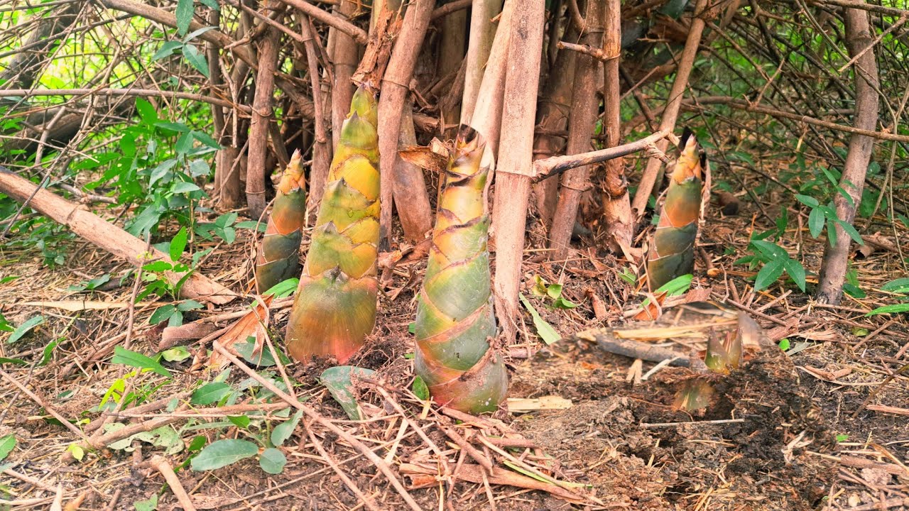 จัดหนัก‼️จัดเต็ม‼️ออนซอนหลาย😱😱😱จัดไปสองรอบยังล้นต่าคือเก่า☺️☺️☺️23มิ.ย68