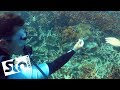 Great Barrier Reef Conservation with Jacob Dixon | STA Travel