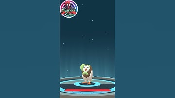 Rowlet Pokemon | Evolve Dartrix | Pokémon Go