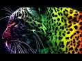 ELECTRO  HOUSE & DANCE MIX 2012 # 5