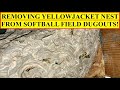 REMOVING YELLOWJACKET WASP NESTS IN SOFTBALL FIELD DUGOUTS, COLLECTING WASPS FOR VENOM IMMUNOTHERAPY