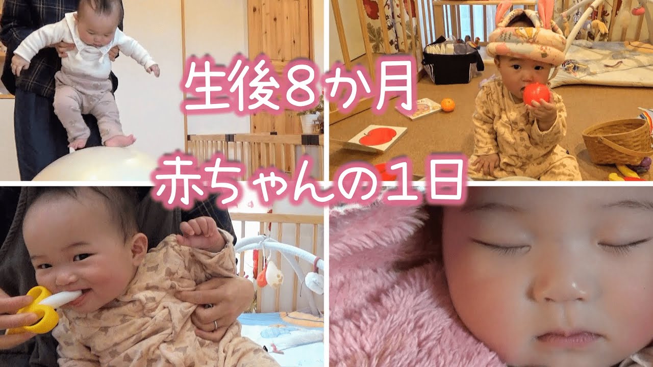 生後8か月 赤ちゃんの一日 頭突きが止まらない Youtube