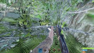 Rust Console Invisible Hazmat Glitch