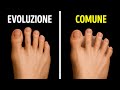 Fatti sul Corpo Umano Senza Spiegazione Ovvie