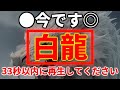 【今です】突然、この動画が表示された方は幸運の持ち主です。これはあなたを幸福へと導く動画です。今です。必ず33秒以内に再生してください。願いが叶う奇跡が起こります。