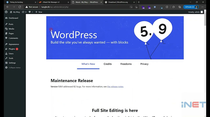 Avada lỗi khi nâng cấp lên wordpress mới năm 2024