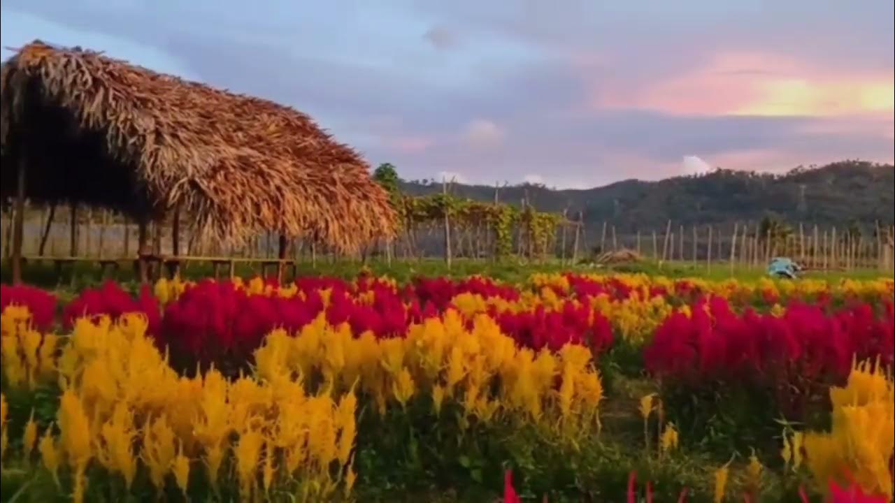 Sorsogon Tourist Spot