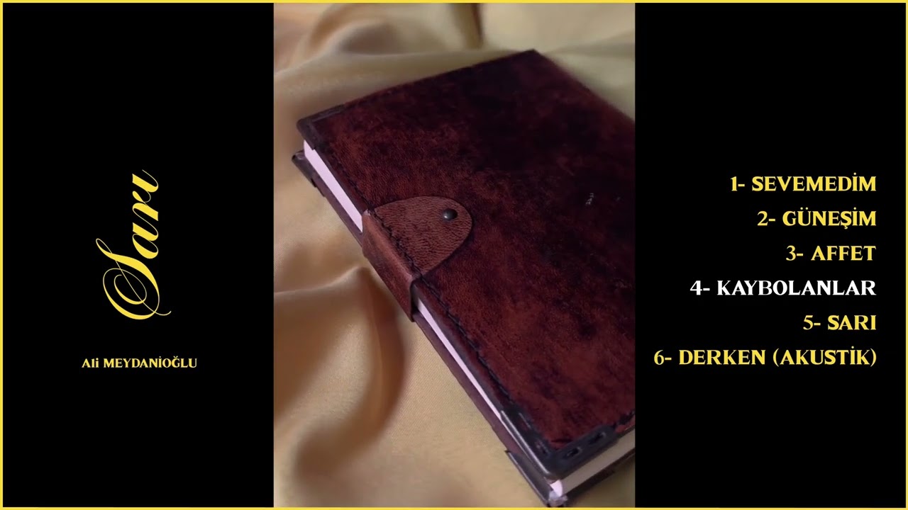 Ali Meydanioğlu - Kaybolanlar