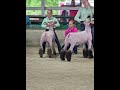 Show day!!! #showman #livestock #sheep