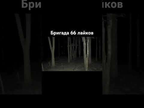 #music #remix #мем #мемы #топ