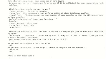 interactive image segmentation training