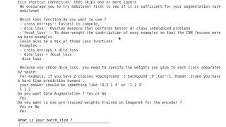 interactive image segmentation training