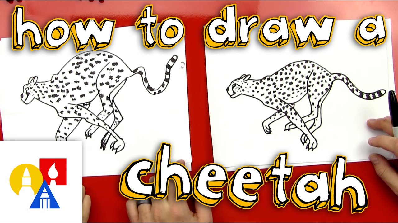 How To Draw A Cheetah YouTube