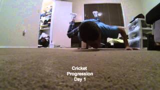 Bboy Cricket Progression