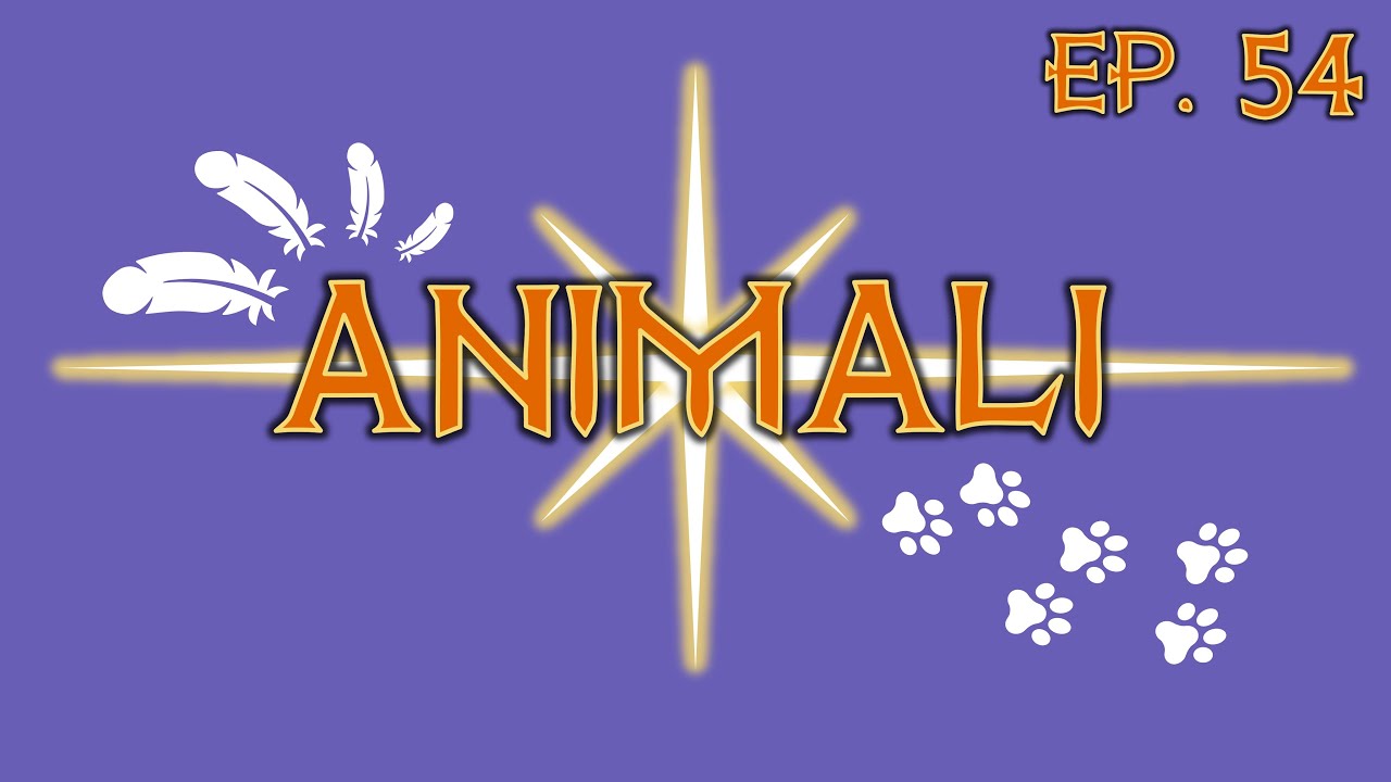 Animali - Épisode 54 : Portés Disparus