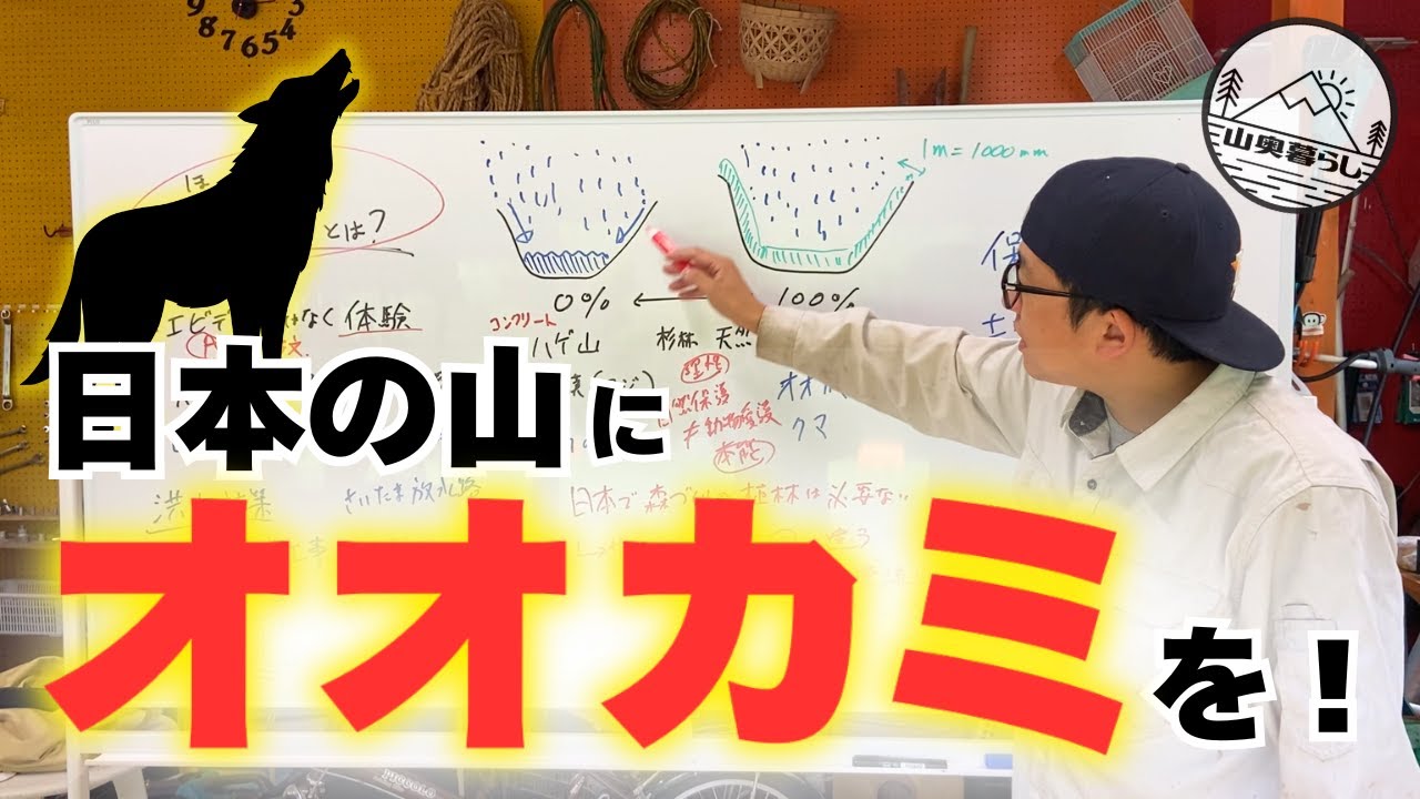 日本の山にはオオカミが必要？！｜保水力と生態系の関係とは