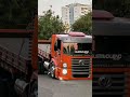 GAITEIRO POR DEMAIS  - Porca Veia.