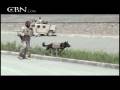 Special Forces Canine Sniffs Out Trouble - CBN.com Special Forces Canine Sniffs Out Trouble - CBN.com