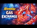 Alveolar Gas Exchange RESP 