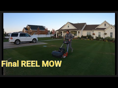 Final Reel MOW OF 2022