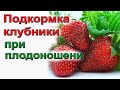 Клубника. Обязательные подкормки при цветении и плодоношении.