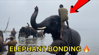 CUTE ELEPHANT PLAYING WITH HUMANS 😂 || WATCH TILL END 😱