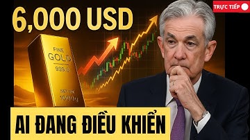 Vàng sẽ lên 6.000 USD? – Ai Đang Điều Khiển Cuộc Chơi Này? | Livestream