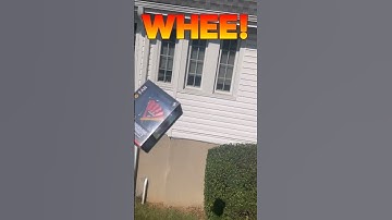 Fan FLIES! #inanimateinsanity