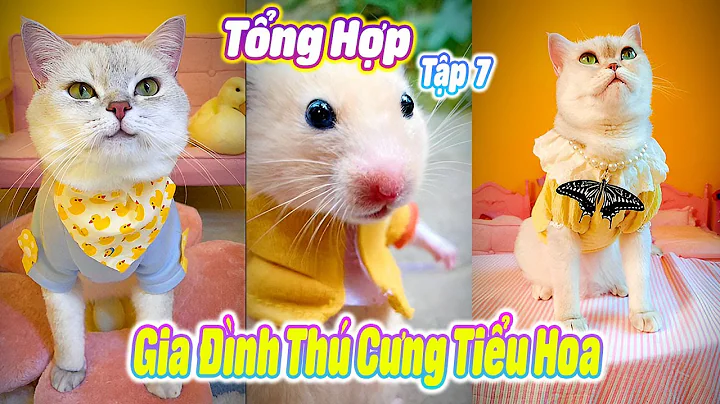Tổng Hợp Gia Đình Thú Cưng Tiểu Hoa Tập 7 #thúcưng #vậtnuôi #chómèohàihước #funny #pets #cat #cute