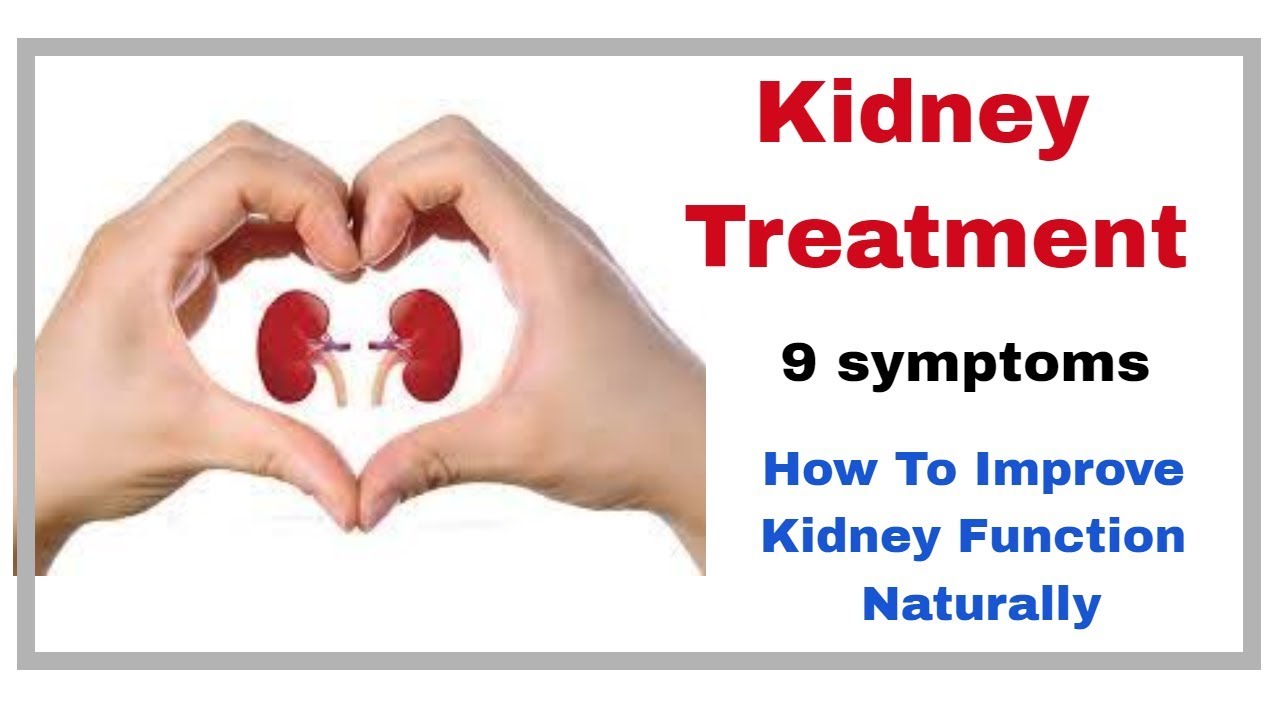 Kidney Treatment 9 Symptoms And How To Improve Kidney Function 