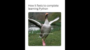 How it feels to complete learning Python