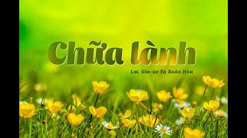 Đề tài: " CHỮA LÀNH " -    Cha Giuse Tạ Xuân Hòa