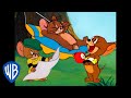 Tom y Jerry en Español | Todo tiene que ver con Jerry | WB Kids