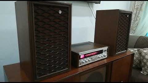 BAFLES GRADIENTE VINTAGE 8¨