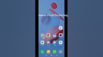 xiaomi device bug in home screen